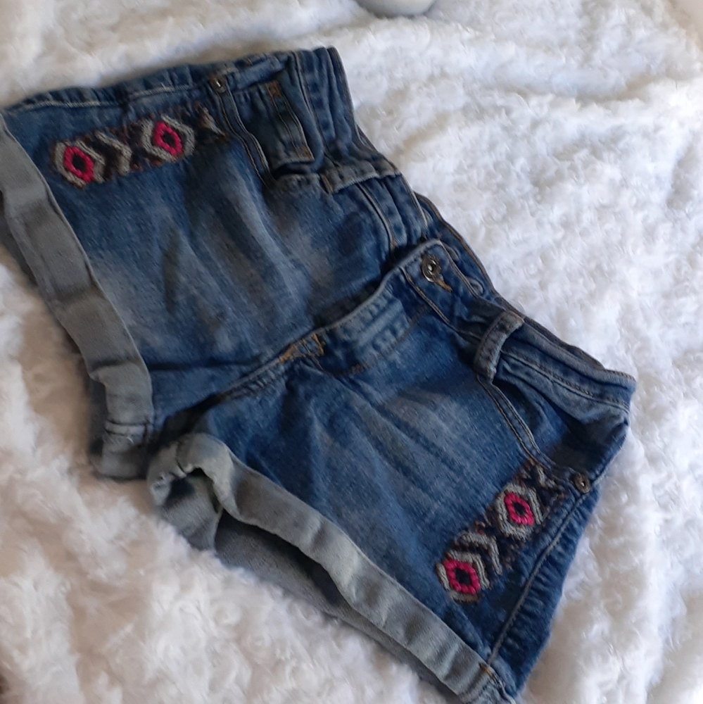 Embroidered Jean Shorts